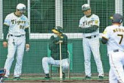 阪神・岡田監督が怒　コーチ陣に苦言連発　助っ人連弾もシート打撃「やる必要性あるのか」
