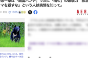 【閲覧注意】クマの一撃による人身被害の実情、想像の100倍ヤバい　殺すなとか言ってる奴は見ろ（リンク先画像あり）