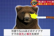ヒグマと相打ちになった男wwwwwwwwwwwwwww