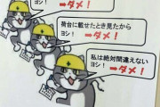 現場猫ガチで日本の現場を支配し始める