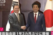 【一年3ヶ月ぶりの日韓首脳会談】安倍首相「関係改善したい」文大統領「少しぎくしゃくすることがあっても、決して遠ざかることができない間」（動画）