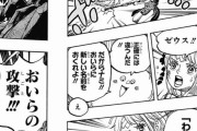 ワンピースさん、またもや分かりにくいシーンを入れてくる