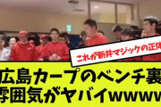 【動画】広島カープのベンチ裏の雰囲気がヤバイwwww