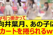 向井葉月、あの子にスカートを捲られるww【乃木坂46・伊藤理々杏・乃木坂配信中・乃木坂工事中】