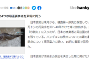 【速報】韓国側、東京電力に周辺国に賠償を検討する予定はあるのか質問⇒東電「」