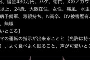 【朗報】新人VTuberさん、とんでもないプロフィールを披露するｗｗｗｗ