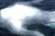 【UMA】実際海に巨大生物っているのか