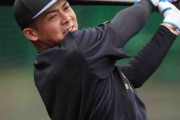 阪神・井上　ホーム開幕戦に1軍昇格　昨季ベイキラー発揮　手薄な右の長距離砲として期待