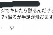 【画像】キッズ大人気「うっせえわ」のコメント欄、キツすぎて草ｗｗｗｗ
