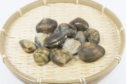 東大研究員「アサリの産地が分かる、画期的な手法を開発したぞ。これで産地偽装がなくなるね！」