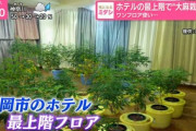 ホテル最上階で大規模に“大麻栽培”　乾燥植物片だけで末端価格4500万円相当…ホテルの実質的経営者ら２人逮捕