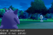 【ポケモン剣盾】「地割れ空振り保険マンムー強そうじゃないか！？」←空振り保険は一撃技じゃ発動しないぞ　意外と知らない人も多い模様