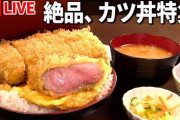 カツ丼を注文してこれが出てきたらどうする？