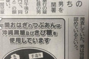 【悲報】配信者さん、息子(2)に『肘鉄』食らわせて逮捕される…