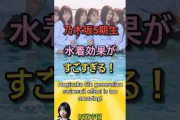 乃木坂46水着効果がすごすぎるNogizaka46 swimsuit effect is too amazing　 #shorts #乃木坂46 #乃木坂工事中 #2ch