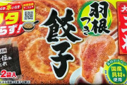 【画像】最近の冷凍餃子、マジですごい。水なし油なしフタなしでこのクオリティ