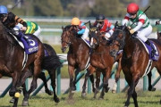 オート競輪競艇地方競馬5スロ、二千円でギャンブルやるなら