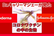 新型コロナ第7波での重症者に医師「ほとんどがワクチン未接種者」→これ