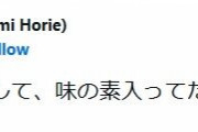 ホリエモン「味の素入ってたらなんかまずいんですか？」