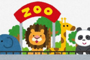 動物園とかいう不必要な見世物