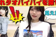 【岡本姫奈】隠れタオパイパイを探せ！/文字起こし（乃木坂46・のぎおび）