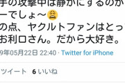 【悲報】ヤクルトファン「阪神はマナー悪すぎ嫌い。それに比べてヤクファンはマナー良いから大好き」