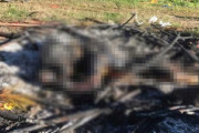 【朗報】メキシコでは自動車窃盗で男性が生きたまま焼かれるらしい