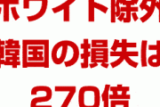韓国がホワイト国除外で被る損失は日本の270倍か！　日本への影響は微小だった！　韓国終わったな…