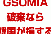 韓国軍元中将「GSOMIA破棄で損をするのは韓国。文在寅の判断は異常」　どうすんのこれ…
