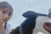 【乃木坂46】動物とたわむれる与田祐希ちゃん可愛い！！！