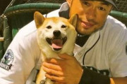 【訃報】イチローの愛犬・一弓、お星様になっていた