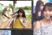 【乃木坂46】与田祐希、Mステでヤギに髪を食べられる写真を披露してタモリの心を掴むwww