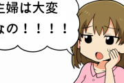 主婦は大変なの！！！！←すまん何が大変なのか全くわからんのやが