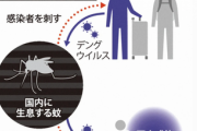【緊急】『デング熱』過去最悪の大流行へ…