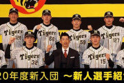 西、井上、及川、遠藤←この阪神のドラフトって客観的に見てどうなんや？？？？？？