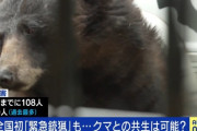ひろゆき、クマ被害に「自衛隊を使うべき」