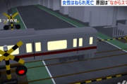 【東京】ながらスマホの女性、遮断機の『内側』で電車の通過待ちしてはねられ死亡…踏切の外にいた人もスマホに夢中で注意せず