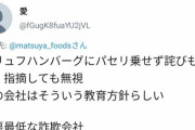 【悲報】松屋、ハンバーグにパセリを乗せ忘れてしまい激ギレ粘着される