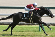 【京都金杯】重賞馬を差し置いてリステッド2勝馬が単独トップハンデ