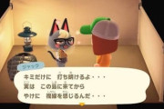 【画像】あつまれどうぶつの森、猫キャラが追加されて一部で大人気になってしまう