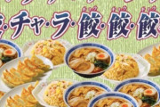 【画像】王将の定食これで550円は安すぎやろ
