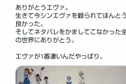 【朗報】中川翔子さん「全ての人類は義務教育で強制的に14歳になったらエヴァを観るべき｣