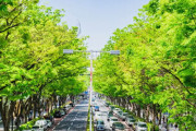 真夏の過酷な信号待ちをどうにかして！！「都は主要交差点に街路樹を」