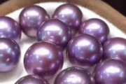【50万円の価値】レストランでアサリの中から紫真珠が発見される！