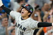 大谷翔平を100点とした際の自分の点数ｗｗｗｗｗｗ