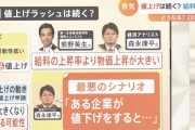 【悲報】商品の値下げ、最悪のシナリオとして紹介されてしまう