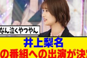 [櫻坂46]絶対に泣く…井上梨名、あの番組に出演へ！！！