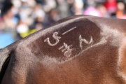 馬なのにタイガーとかライオンとか馬名につける馬主なんなの？