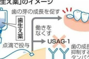 【朗報】点滴で歯が生える薬、実用化へ