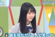 【日向坂46】なっちょ、巨大ブーメランをくらうｗｗｗｗｗｗｗｗｗｗｗ